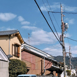 泽井芽衣巨乳人妻视频
